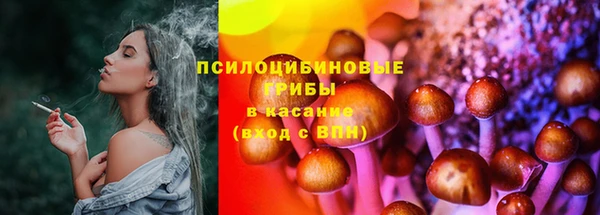 прущие грибы Армянск
