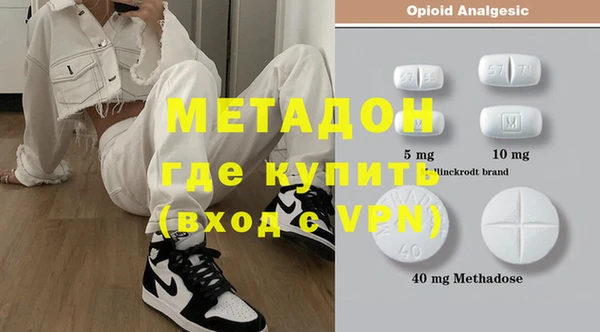 индика Дмитриев
