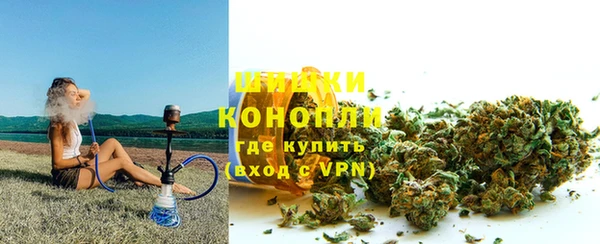 прущие грибы Армянск