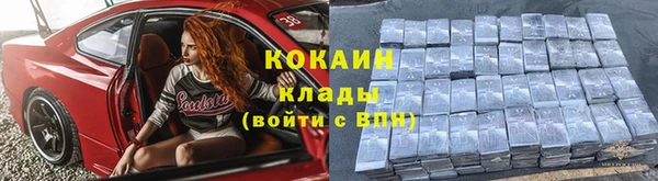 прущие грибы Армянск