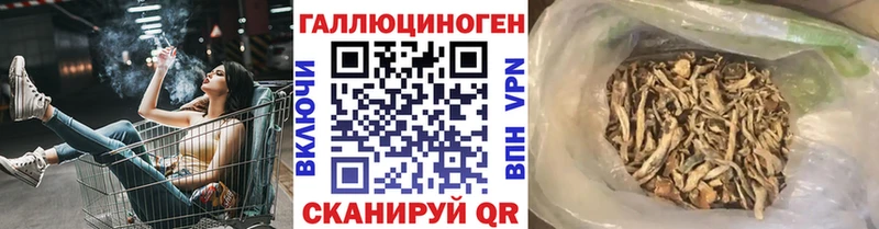 Псилоцибиновые грибы Psilocybine cubensis  Еманжелинск 