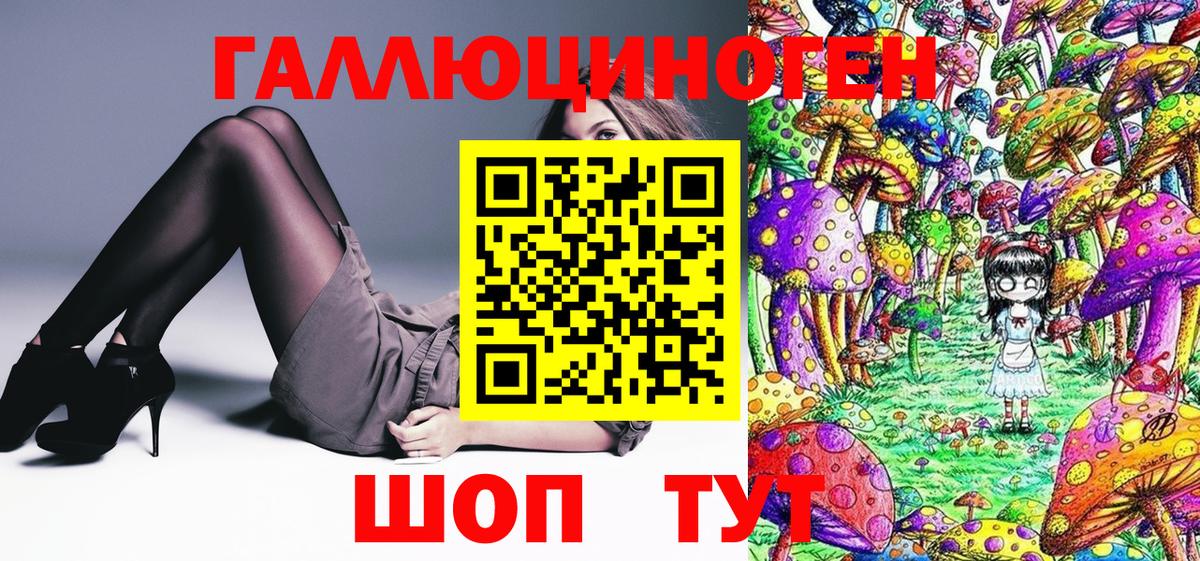 Псилоцибиновые грибы Cubensis Еманжелинск