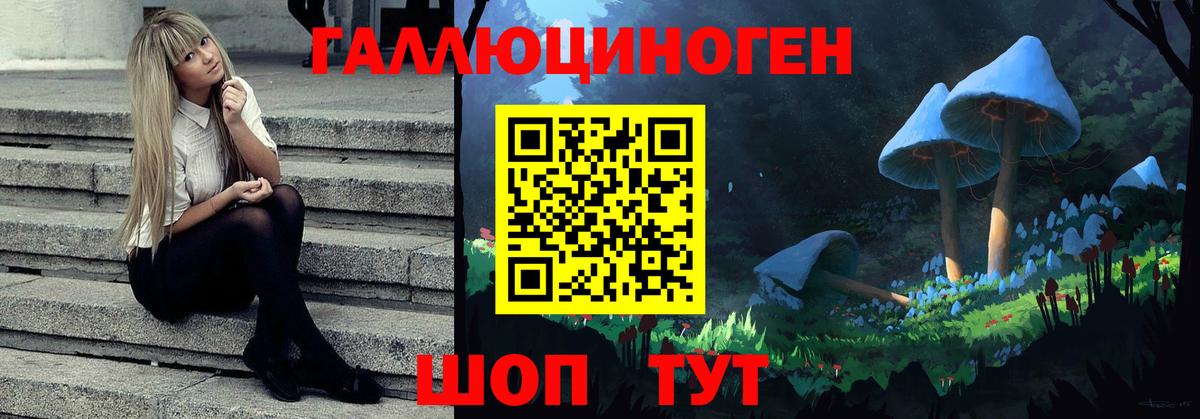 Еманжелинск  Псилоцибиновые грибы Psilocybe  Псилоцибиновые грибы GOLDEN TEACHER  Вход с VPN 